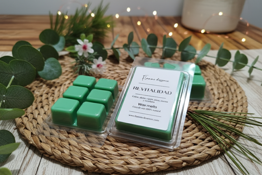 Wax melt - Revitalidad